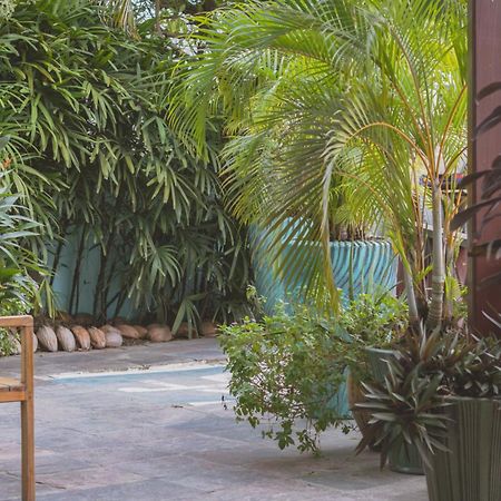 Hotel Palma Royale โบกัสทาวน์ ภายนอก รูปภาพ